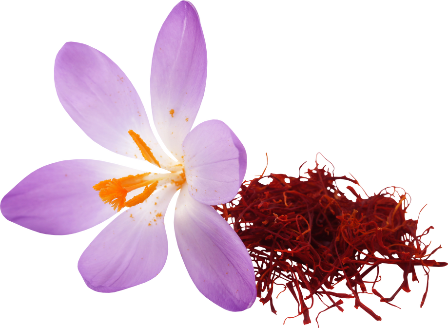 Saffron with Crocus Flower